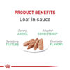 Picture of Royal Canin Feline Care Nutrition Digestive Care Loaf in Sauce Canned Cat Food, 5.1 oz can (24-count)