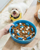 Picture of LE TAUCI Slow Feeder Dog Bowls Ceramic, 1.5 Cups Slow Eater Bowl for Dogs, Puppy Slow Feeder Bowl for Fast Eaters, Dog Dishes to Slow Down Eating, Maze Dog Bowl, Vortex Blue