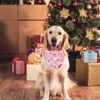 Picture of ADOGGYGO Pink Christmas Dog Bandana, Santa Christmas Tree Dog Scarf, Adjustable Fit Pink Dog Christmas Bandanas for Large and Extra Large Dogs Pets (X-Large, Christmas)