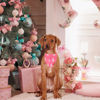 Picture of ADOGGYGO Pink Christmas Dog Bandana, Santa Christmas Tree Dog Scarf, Adjustable Fit Pink Dog Christmas Bandanas for Large and Extra Large Dogs Pets (X-Large, Christmas)