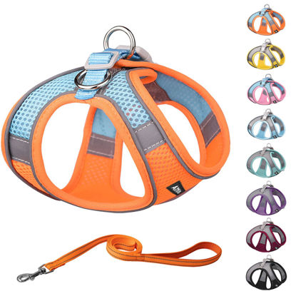 Picture of AIITLE Soft Dog Harness No Choke Over - Step in Adjustable Dog Harnes with Breathable Mesh and Quick-Release Buckle for Hot Weather- Outdoor Walking, Training for Medium Dogs Orange XL