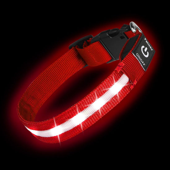Picture of PetIsay Light up Dog Collar - High Visibility & Durable Nylon Material - USB C Rechargeable & Waterproof LED Dog Collar for Night Walking,Lighted Dog Collar Glow in The Dark Flashing(Red,S)
