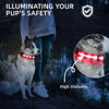 Picture of PetIsay Light up Dog Collar - High Visibility & Durable Nylon Material - USB C Rechargeable & Waterproof LED Dog Collar for Night Walking,Lighted Dog Collar Glow in The Dark Flashing(Red,S)