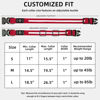 Picture of PetIsay Light up Dog Collar - High Visibility & Durable Nylon Material - USB C Rechargeable & Waterproof LED Dog Collar for Night Walking,Lighted Dog Collar Glow in The Dark Flashing(Red,S)