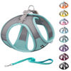 Picture of AIITLE Dog Harness, Summer No-Pull Pet Harness with a Leash, Adjustable Soft Padded Dog Vest, Reflective Outdoor Pet Vest for Extra Small Dogs and House Cats Turquoise XXXS