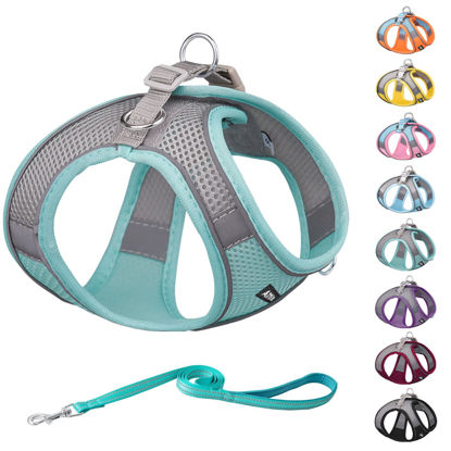 Picture of AIITLE Dog Harness, Summer No-Pull Pet Harness with a Leash, Adjustable Soft Padded Dog Vest, Reflective Outdoor Pet Vest for Extra Small Dogs and House Cats Turquoise XXXS