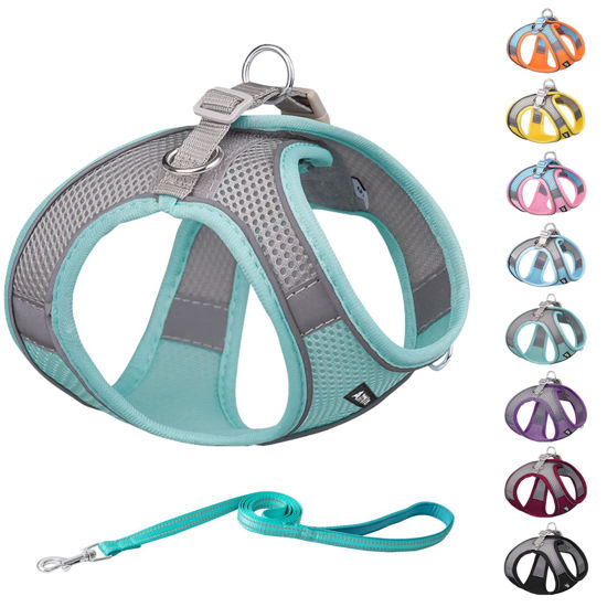 Picture of AIITLE Dog Harness, Summer No-Pull Pet Harness with a Leash, Adjustable Soft Padded Dog Vest, Reflective Outdoor Pet Vest for Extra Small Dogs and House Cats Turquoise XXXS