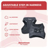 Picture of Downtown Pet Supply Step in Dog Harness for Small Dogs No Pull, Medium, Charcoal - Adjustable Harness with Padded Mesh Fabric and Reflective Trim - Buckle Strap Harness for Dogs