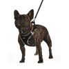 Picture of AMTOR Dog Harness with Leash Set,No Pull Adjustable Reflective Step-in Puppy Harness with Padded Vest for Extra-Small/Small Medium Large Dogs and Cats(BlackYellow,XXXS)