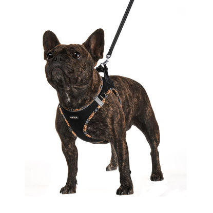 Picture of AMTOR Dog Harness with Leash Set,No Pull Adjustable Reflective Step-in Puppy Harness with Padded Vest for Extra-Small/Small Medium Large Dogs and Cats(BlackYellow,XXXS)