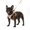 Picture of AMTOR Dog Harness with Leash Set,No Pull Adjustable Reflective Step-in Puppy Harness with Padded Vest for Extra-Small/Small Medium Large Dogs and Cats(Beige,XXS)