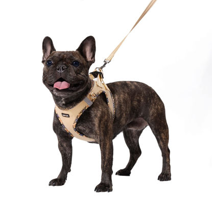 Picture of AMTOR Dog Harness with Leash Set,No Pull Adjustable Reflective Step-in Puppy Harness with Padded Vest for Extra-Small/Small Medium Large Dogs and Cats(Beige,XXS)