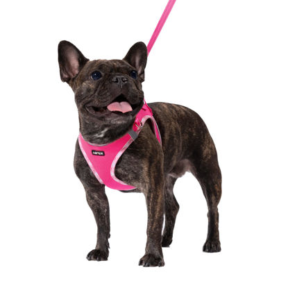 Picture of AMTOR Dog Harness with Leash Set,No Pull Adjustable Reflective Step-in Puppy Harness with Padded Vest for Extra-Small/Small Medium Large Dogs and Cats(Fuchsia,XXS)