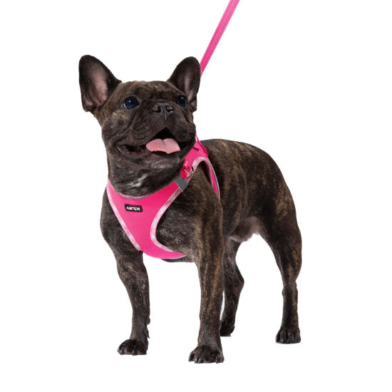 Picture of AMTOR Dog Harness with Leash Set,No Pull Adjustable Reflective Step-in Puppy Harness with Padded Vest for Extra-Small/Small Medium Large Dogs and Cats(Fuchsia,XXS)