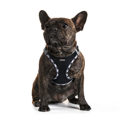 Picture of AMTOR Dog Harness with Leash Set,No Pull Adjustable Reflective Step-in Puppy Harness with Padded Vest for Extra-Small/Small Medium Large Dogs and Cats(Blackwhite,XXS)