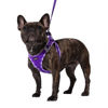 Picture of AMTOR Dog Harness with Leash Set,No Pull Adjustable Reflective Step-in Puppy Harness with Padded Vest for Extra-Small/Small Medium Large Dogs and Cats(Purple,XL)