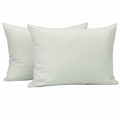 Picture of NTBAY Zippered Toddler Pillowcases Set of 2, 100% Brushed Microfiber 13x18 Pillowcases, Super Soft and Cozy Travel Kids Nursery Pillow Cases, 13x18 Inches, Light Grey