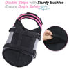 Picture of VIVAGLORY New Sports Style Ripstop Dog Life Jacket with Superior Buoyancy & Rescue Handle Pink XL