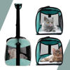Picture of Cat Carrying Case Pet Dog Carrier Soft-Sided Cat Bag Airline Approved, Pet Travel Carrier Up to 15 Lbs, Collapsible Cat Carrier Dog Carrier for Medium Cats Small Cats Dogs(17x11x11 Green)