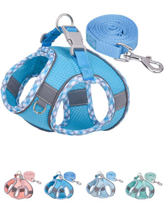 Picture of Petank Dog Harness for Small Medium Dogs No Pull, Puppy Harness and Leash Set, Easy Walk Dog Harness for Walking, Running, Training, Small Dog Harness, Medium Dog Harness (Bule, L)