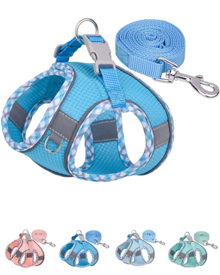 Picture of Petank Dog Harness for Small Medium Dogs No Pull, Puppy Harness and Leash Set, Easy Walk Dog Harness for Walking, Running, Training, Small Dog Harness, Medium Dog Harness (Bule, L)