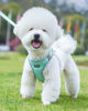 Picture of Petank Dog Harness for Small Medium Dogs No Pull, Puppy Harness and Leash Set, Easy Walk Dog Harness for Walking, Running, Training, Small Dog Harness, Medium Dog Harness (Green, M)
