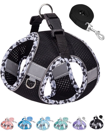 Picture of Petank Dog Harness for Small Medium Dogs No Pull, Puppy Harness and Leash Set, Easy Walk Dog Harness for Walking, Running, Training, Small Dog Harness, Medium Dog Harness (Black, S)