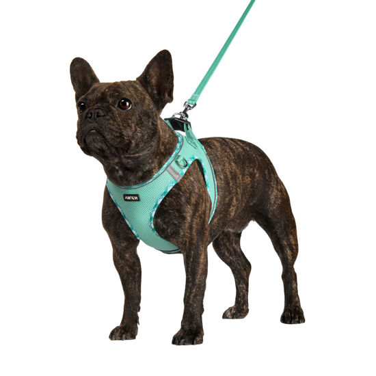 Picture of AMTOR Dog Harness with Leash Set,No Pull Adjustable Reflective Step-in Puppy Harness with Padded Vest for Extra-Small/Small Medium Large Dogs and Cats(Green,XL)