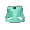 Picture of AMTOR Dog Harness with Leash Set,No Pull Adjustable Reflective Step-in Puppy Harness with Padded Vest for Extra-Small/Small Medium Large Dogs and Cats(Green,XL)