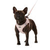 Picture of AMTOR Dog Harness with Leash Set,No Pull Adjustable Reflective Step-in Puppy Harness with Padded Vest for Extra-Small/Small Medium Large Dogs and Cats(Pink,XL)