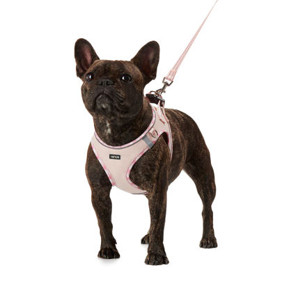 Picture of AMTOR Dog Harness with Leash Set,No Pull Adjustable Reflective Step-in Puppy Harness with Padded Vest for Extra-Small/Small Medium Large Dogs and Cats(Pink,XL)