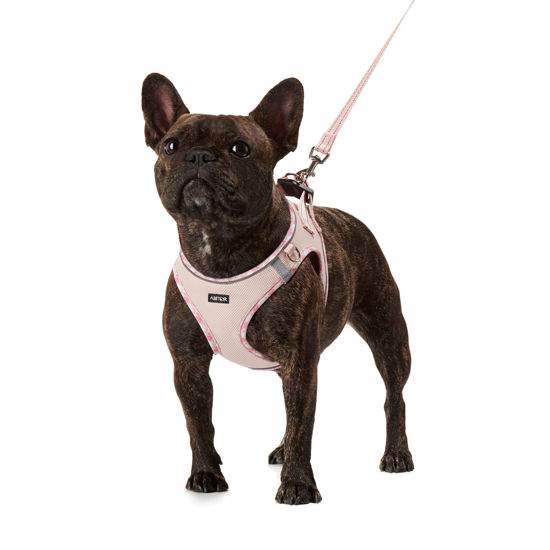 Picture of AMTOR Dog Harness with Leash Set,No Pull Adjustable Reflective Step-in Puppy Harness with Padded Vest for Extra-Small/Small Medium Large Dogs and Cats(Pink,XL)