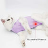 Picture of kzrfojy Cat Surgery Recovery Suit Cat Onesie for Cats After Surgery Spay Surgical Abdominal Wound Skin Diseases E-Collar Alternative Wear (Purple-S)