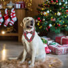 Picture of ADOGGYGO Christmas Dog Tuxedo Bandana, Red Plaid Dog Chritstmas Collar with Bowtie Adjustable Dog Christmas Costume for Large Dogs Pets (L, Christmas-2)