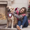 Picture of ADOGGYGO Christmas Dog Tuxedo Bandana, Red Plaid Dog Chritstmas Collar with Bowtie Adjustable Dog Christmas Costume for X-Large Dogs Pets (XL, Christmas-2)