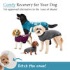 Picture of BellyGuard Recovery Suit for Dogs, After Surgery Dog Recovery Suit Female and Male, Soft Cotton Dog Surgery Suit Female Spay, Dog Surgical Recovery Suit Male Neuter, Comfy Surgical Onesie for Dogs.