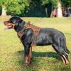Picture of Beebiepet Heavy Duty Tactical Dog Harness for Large Dogs, No Pull Adjustable Pet Harness Reflective Service Training Easy Control Pet Vest Military K9 Working Dog Harnesses- Large, Brown