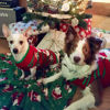 Picture of NACOCO Dog Snow Sweaters Snowman Sweaters Xmas Dog Holiday Sweaters New Year Christmas Sweater Pet Clothes for Small Dog and Cat (Snowman,M)