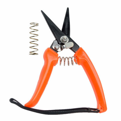 Picture of Hoof Trimmers Goat Hoof Trimming Shears Nail Clippers for Sheep, Alpaca, Lamb, Pig Hooves Multiuse Carbon Steel Trimmer
