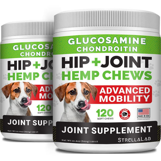 Picture of Large Breed Hemp + Glucosamine Dog Joint Supplement - Hemp Chews for Dogs Hip Joint Pain Relief - Omega 3, Chondroitin, MSM - Advanced Mobility Hemp Oil Treats for Large Dogs - Made in USA - 240 Ct