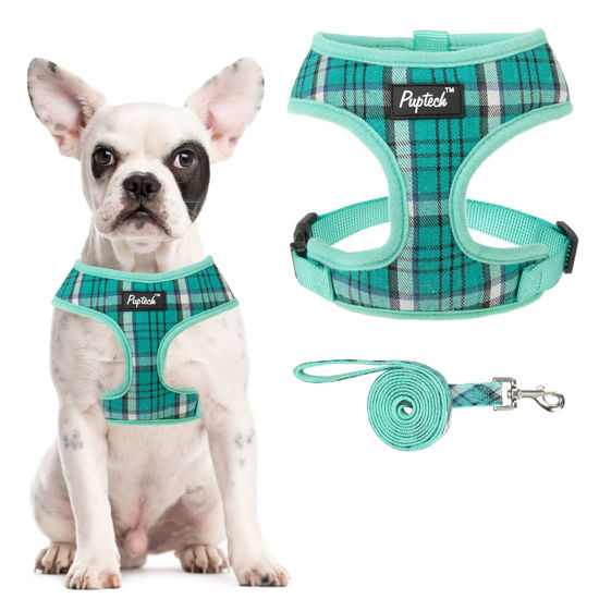 Picture of PUPTECK Soft Mesh Dog Harness and Leash Set Pet Puppy Cat Comfort Padded Vest No Pull Harnesses, Green, L