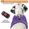 Picture of PWOD Dog Harness with Leash Set, No-Pull Step-in Reflective Pet Harness with 1 Leash Clips, Adjustable Soft Padded Easy Walk Dog Vest for Small Medium Large Dogs, Cats(Light Purple, Medium)