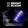 Picture of BLAZIN Brightest Light Up Dog Collars - The Original LED Dog Collar with 1,000 Feet of Visibility - USB Rechargeable Waterproof Dog Collar Light - Dog Lights for Night Walking - USA Brand