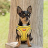 Picture of YIMEIS Dog Harness and Leash Set, No Pull Soft Mesh Pet Harness, Reflective Adjustable Puppy Vest for Small Medium Large Dogs, Cats (Yellowgrey, X-Small (Pack of 1)
