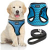 Picture of YIMEIS Dog Harness and Leash Set, No Pull Soft Mesh Pet Harness, Reflective Adjustable Puppy Vest for Small Medium Large Dogs, Cats (Blue, Medium (Pack of 1)
