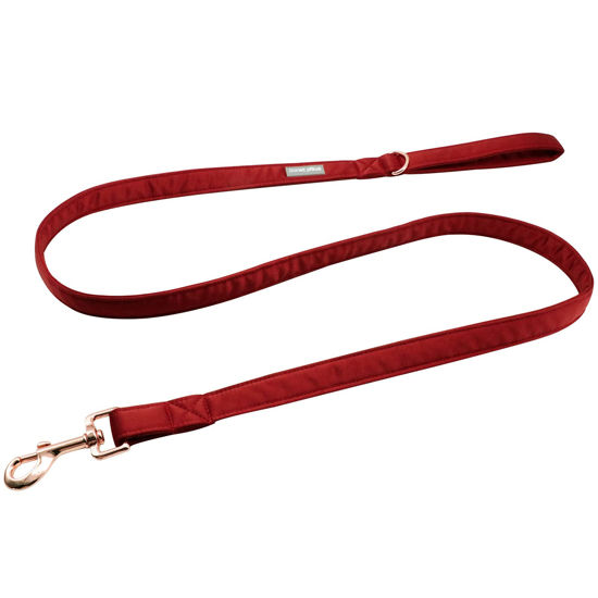 Picture of Lionet Paws Dog Leash - Silk Red Leash for Small Medium Large Dogs Matching Collar for Girl and Boy