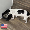 Picture of Neater Feeder - Express Model w/Slow Feed Bowl - Mess-Proof Dog Bowls (Small, Black) Made in USA - Elevated, No Spill, Non-Tip, Non-Slip, Raised Stainless Steel Food/Water Pet Bowls Aid Digestion