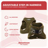 Picture of Downtown Pet Supply Step in Dog Harness for Small Dogs No Pull, X-Small, Hunter Green - Adjustable Harness with Padded Mesh Fabric and Reflective Trim - Buckle Strap Harness for Dogs
