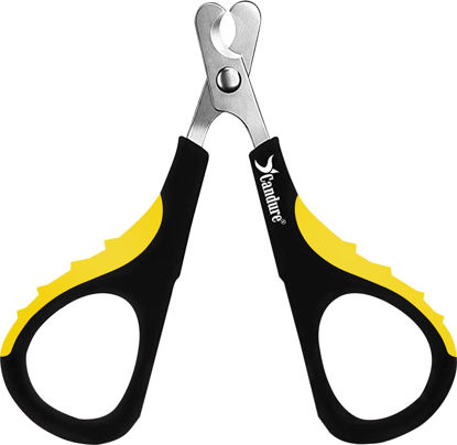 Picture of Candure Cat Nail Clipper Stainless Steel Cat Claw Trimmers for Rabbits, Guinea Pigs, Birds, Puppies, Kittens and Small Animals Pet Nail Clipper for Professional and Home Use (Yellow)