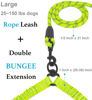 Picture of iYoShop Dual Dog Leash, Double Dog Leash, 360 Swivel No Tangle Walking Leash, Shock Absorbing Bungee for Two Dogs, Green, Large (25-150 lbs)